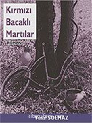 Kırmızı Bacaklı Martılar