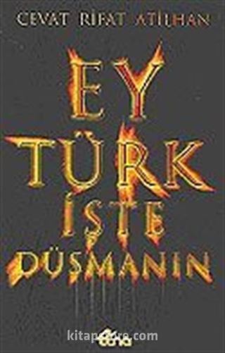 Ey Türk İşte Düşmanın