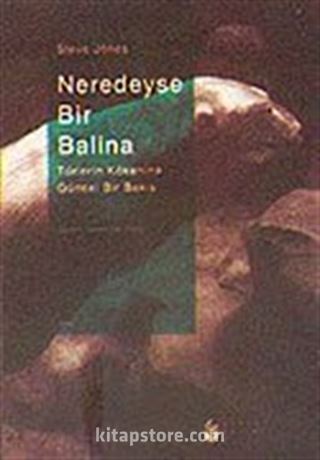 Neredeyse Bir Balina / Türlerin Kökenine Güncel Bir Bakış