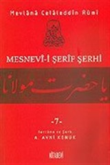 Mesnevi-i Şerif Şerhi 7