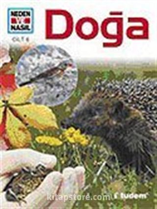 Doğa / Neden ve Nasıl 6