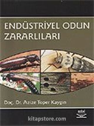 Endüstriyel Odun Zararlıları