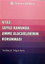 6183 Sayılı Kanunda Amme Alacaklarının Korunması