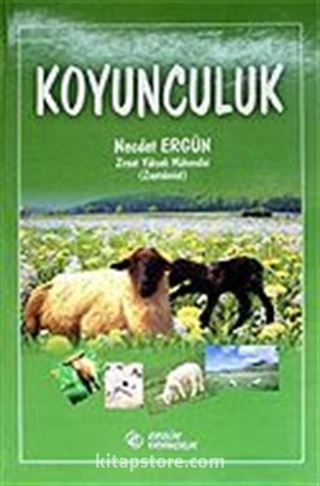 Koyunculuk