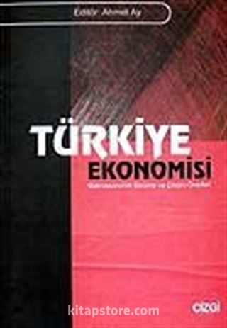 Türkiye Ekonomisi / Makroekonomik Sorunlar ve Çözüm Önerileri