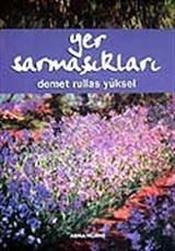 Yer Sarmaşıkları