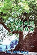 Yaralı Çınar