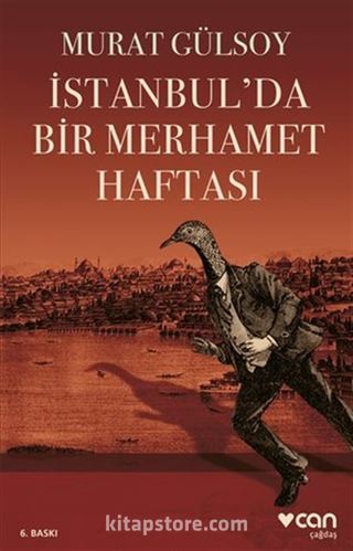 İstanbul'da Bir Merhamet Haftası