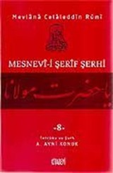 Mesnevi-i Şerif Şerhi 8