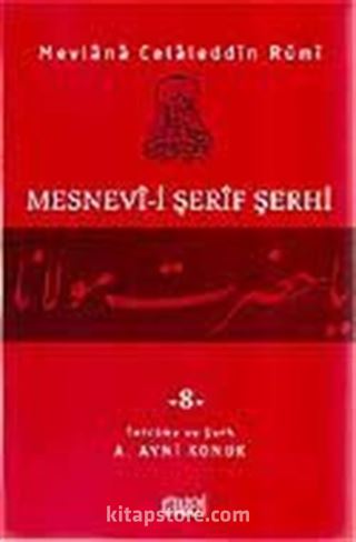 Mesnevi-i Şerif Şerhi 8