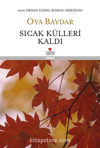 Sıcak Külleri Kaldı (Ciltli)