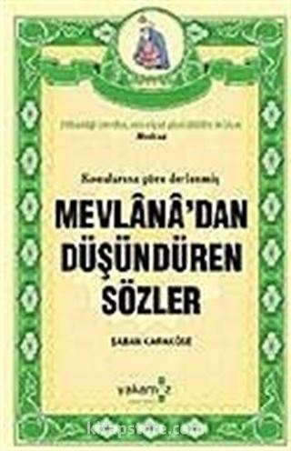 Mevlana'dan Düşündüren Sözler