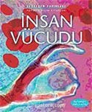 İnsan Vücudu