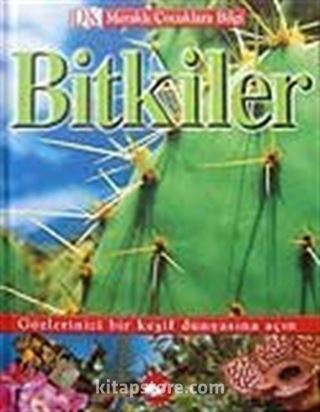 Bitkiler