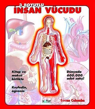 3 Boyutlu İnsan Vücudu