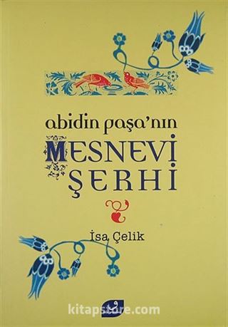 Abidin Paşa'nın Mesnevi Şerhi