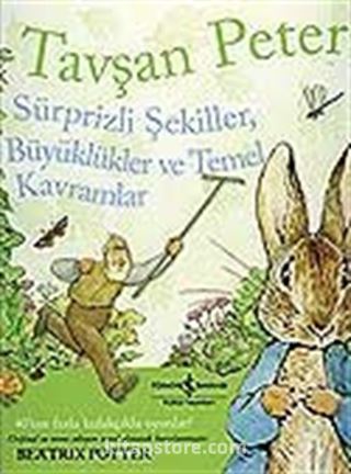 Tavşan Peter-Sürprizli Şekiller, Büyüklükler ve Temel Kavramlar